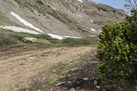 some people walking in the grass near a dirt road with mountains in the background with snow