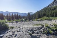 there are rocky ground and mountains in the background with trees in the foreground and rocks on the ground