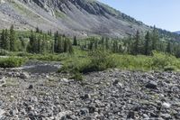 Colorado Highland Road in Rocky Landscape 002