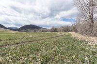 a tractor tracks is shown near grass and trees in the distance is mountains, clouds, and blue sky