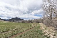 a tractor tracks is shown near grass and trees in the distance is mountains, clouds, and blue sky