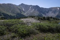 a mountain valley with a lake and lots of green shrubs in the foreground and snowcapped peaks