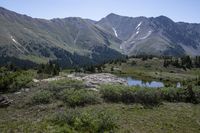 a mountain valley with a lake and lots of green shrubs in the foreground and snowcapped peaks