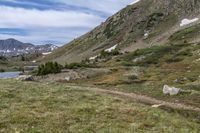 a dog is standing on the side of a dirt trail overlooking mountains with lake and grass