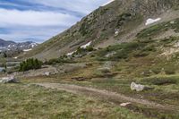 a dog is standing on the side of a dirt trail overlooking mountains with lake and grass