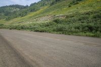 a dog with a stick looking down an empty road, surrounded by green hills and trees