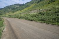 a dog with a stick looking down an empty road, surrounded by green hills and trees