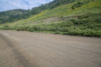 a dog with a stick looking down an empty road, surrounded by green hills and trees