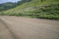 a dog with a stick looking down an empty road, surrounded by green hills and trees