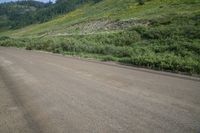 a dog with a stick looking down an empty road, surrounded by green hills and trees