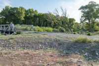 Colorado Landscape in Antonito: Conejos River