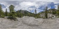 a fisheye lens lens image of trees and a mountain in the background with clouds