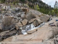 a dog stands on the edge of some large boulders in the middle of trees and rocks