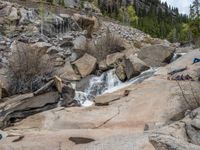 a dog stands on the edge of some large boulders in the middle of trees and rocks