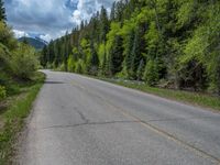 a street leads to a narrow forest with mountains in the background with clouds overhead on an empty mountain road