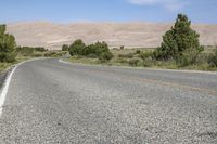 an asphalt road with a few trees near the side of it and sand dunes in the back