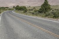an asphalt road with a few trees near the side of it and sand dunes in the back