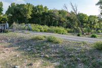 the gravel road runs through the grass next to some trees and brush and water with a small bridge crossing over it