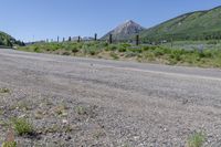 a paved road with trees and flowers along it with a mountain in the distance on the far side