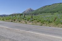 a paved road with trees and flowers along it with a mountain in the distance on the far side