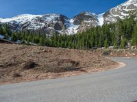 the curved road is near an evergreen mountain side area with rocks and trees in winter