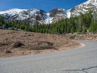 the curved road is near an evergreen mountain side area with rocks and trees in winter