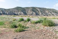 Colorado Landscape: Conejos River Scenic View 002