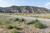 Colorado Landscape: Conejos River Scenic View 003