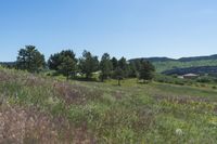 Colorado Landscape: A Clear Sky Day