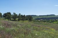 Colorado Landscape: A Clear Sky Day