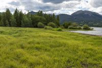 a dog sitting on the grass beside the water and mountains in the background with trees and bushes