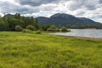 a dog sitting on the grass beside the water and mountains in the background with trees and bushes