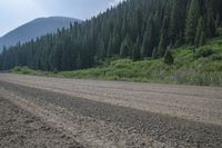 an empty dirt road is lined by evergreen trees and mountains, on either side a dirt road with small dirt tracks