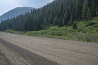 an empty dirt road is lined by evergreen trees and mountains, on either side a dirt road with small dirt tracks