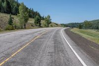 Colorado Landscape: Forest and Asphalt Road