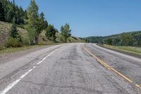 Colorado Landscape: Forest and Asphalt Road