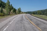 Colorado Landscape: Forest and Asphalt Road