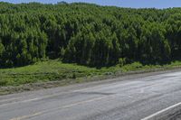 a small truck on a empty, deserted road in the country side with forest behind it