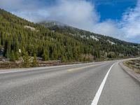 Colorado Landscape: Forests, Mountains, and Snow