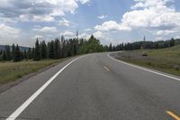 Colorado Landscape: Forest Road