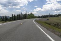 Colorado Landscape: Forest Road