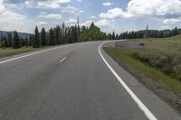 Colorado Landscape: Forest Road