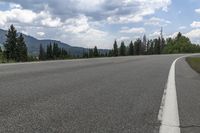 Colorado Landscape: Forest Road