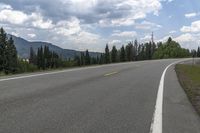 Colorado Landscape: Forest Road