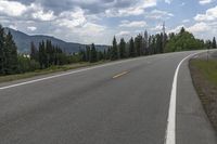 Colorado Landscape: Forest Road