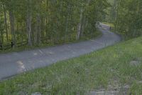 a yellow truck traveling down a curvy road near a forest in front of a wooden fence