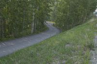 a yellow truck traveling down a curvy road near a forest in front of a wooden fence