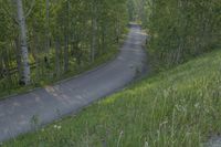 a yellow truck traveling down a curvy road near a forest in front of a wooden fence