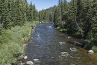 High POV of Colorado Landscape: Mountains and Forests