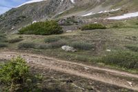 a group of people riding bicycles down a dirt trail in the mountains during daytime time